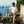A man on a vintage olive-green Vespa pulled over on the Amalfi coast at golden hour, wearing the Aura Farmer cream cotton tee.