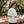 Aura Farming tee, men's, long lunch